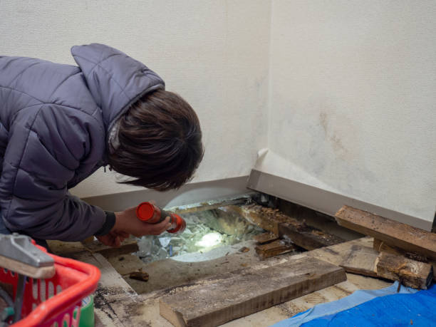 Best Dehumidification Services  in Suffield Depot, CT