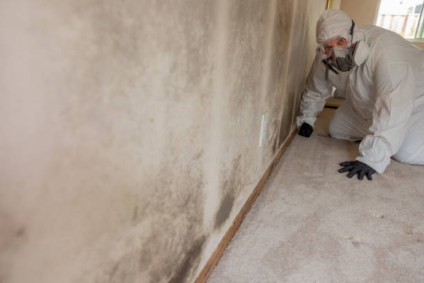 Best Residential Mold Inspection & Testing  in Suffield Depot, CT